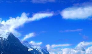 kvantni-entrainment-intervju